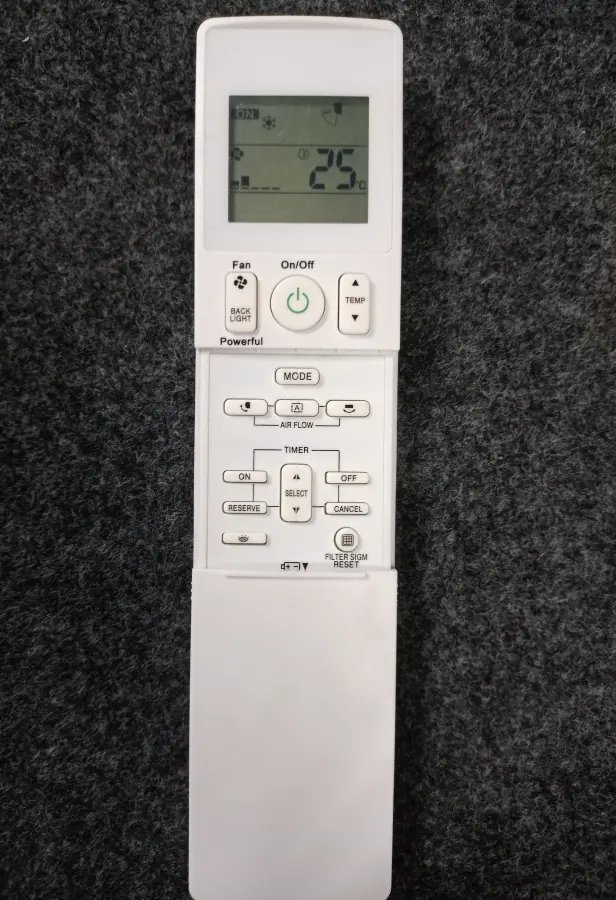 Remote 169B Y