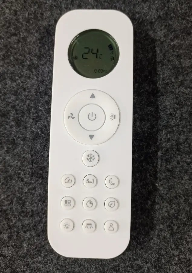 Remote 301 Y