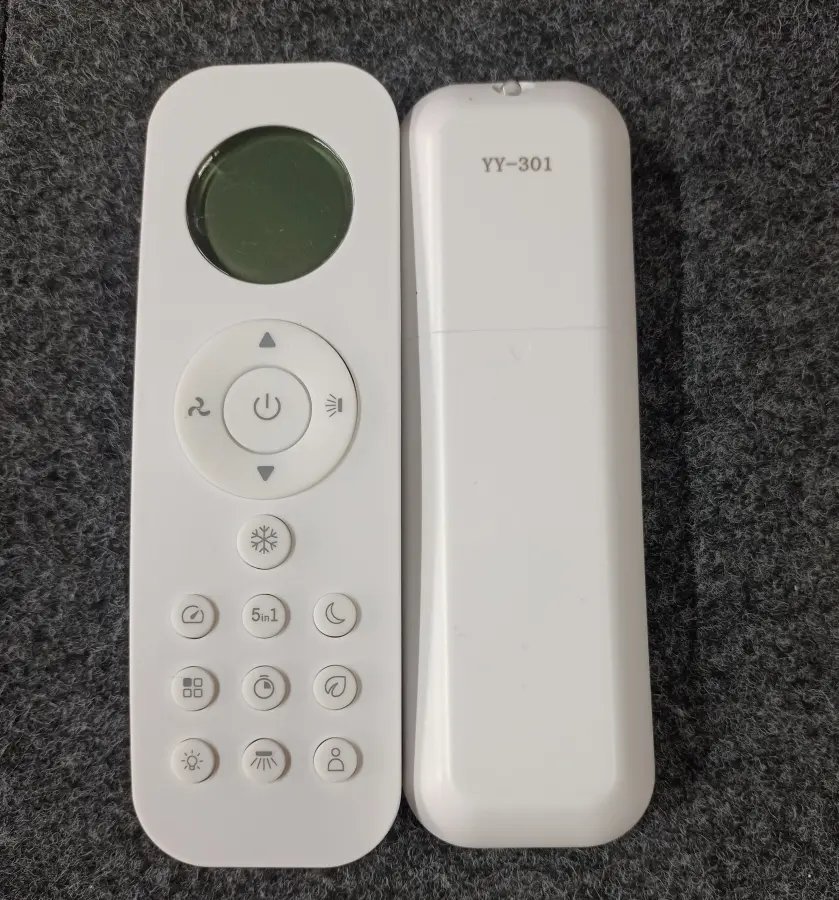 Remote 301 Y