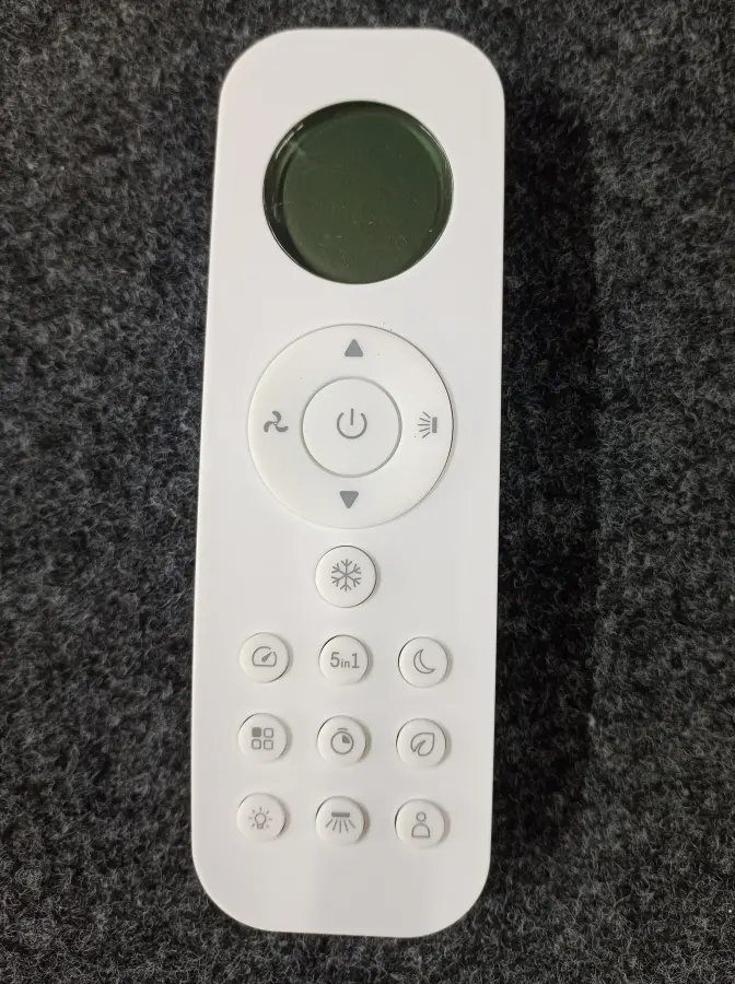 Remote 301 Y