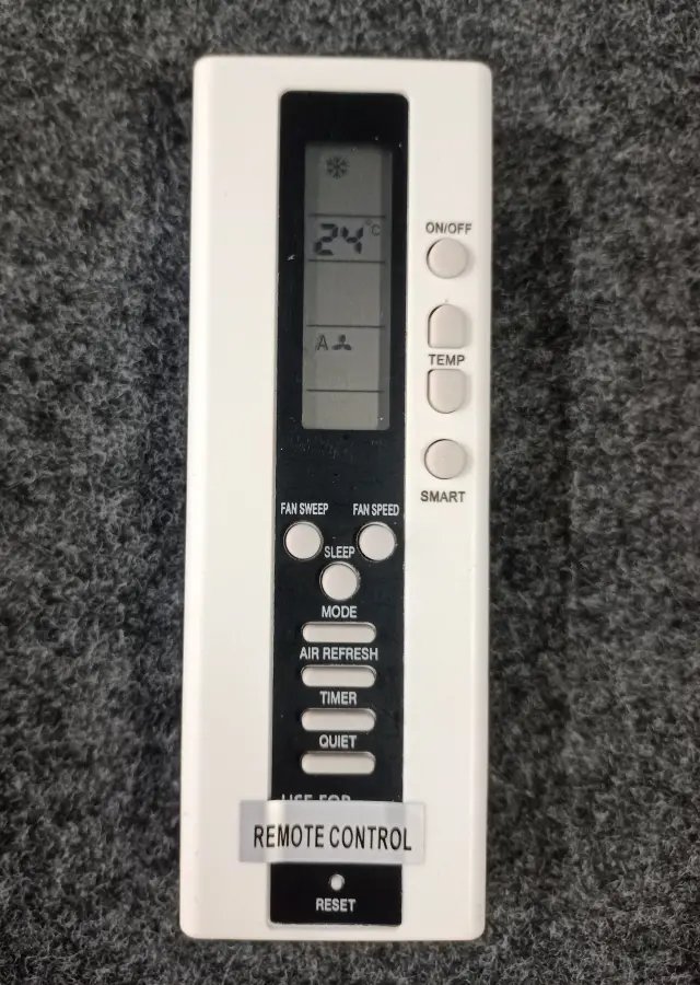 Remote 119 Y