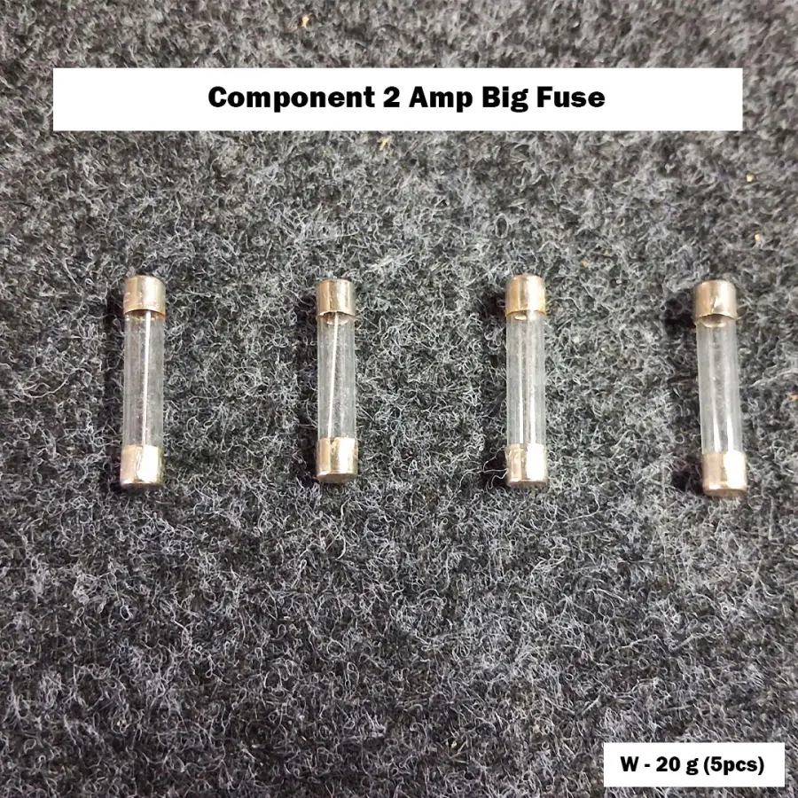 Component 2 Amp Big Fuse